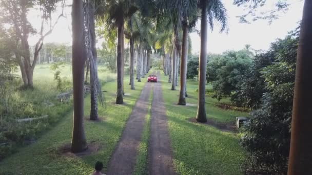ハワイ州キラウエアの緑の風景が広がる道路のビジターカーに近づく男 高角度 — ストック動画