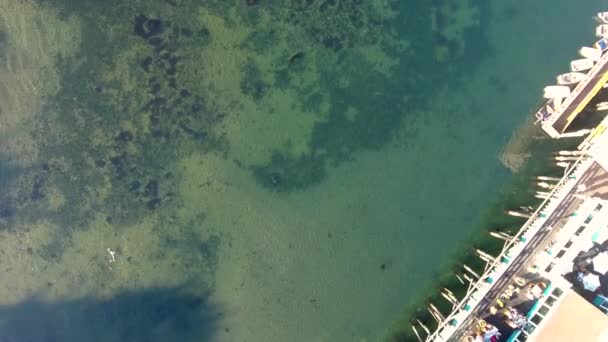 环形山和海狮4K的加州蒙特利与海洋的空中俯瞰 — 图库视频影像