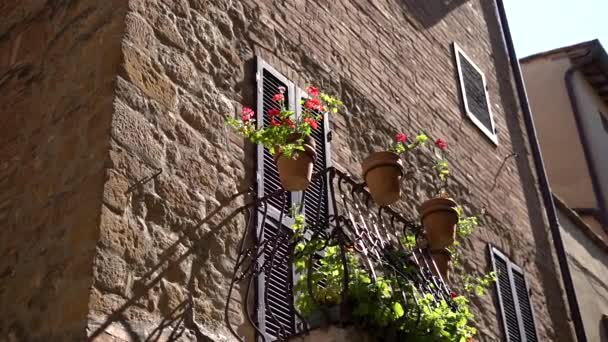 Ιταλία Μπαλκόνι Λουλούδια Αργή Κίνηση — Αρχείο Βίντεο