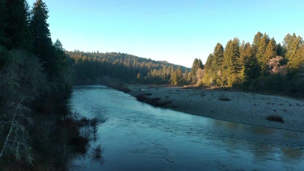 Vatten Som Flyter Smith River Med Barrskog Sommaren Humboldt County — Stockvideo