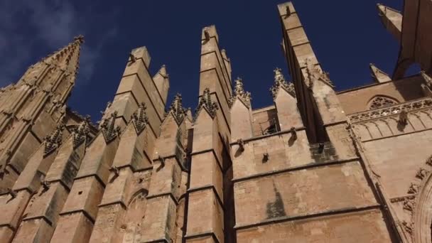 Palma Maiorca Vista Perto — Vídeo de Stock