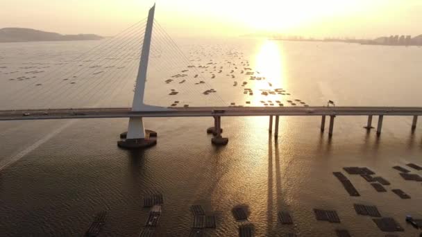 Verkeer Hong Kong Shenzhen Bay Bridge Bij Zonsondergang Met Vis — Stockvideo