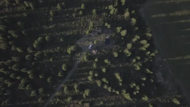 Vista Aérea Sobre Coche Medio Árboles Verdes Las Tierras Altas — Vídeos de Stock