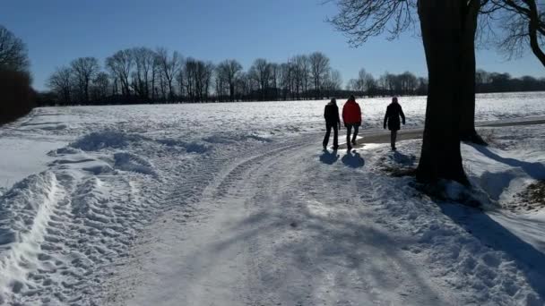 冬天阳光灿烂的日子 人们在白雪覆盖的道路上散步 宽射门 — 图库视频影像
