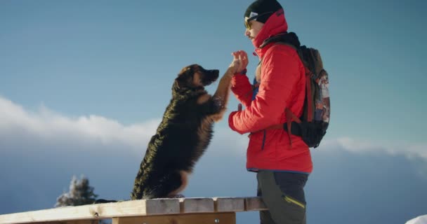 Ein Mann Streichelt Seinen Hund Auf Einem Tisch Auf Dem — Stockvideo