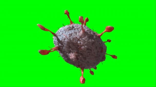 Covid Coronavirus Animation Grön Bakgrund Transparent Bakgrund — Stockvideo