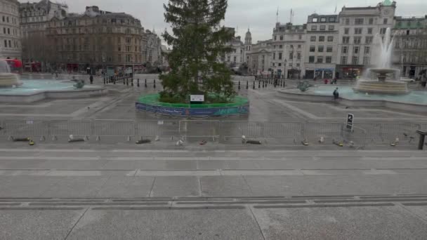 Lenta Inclinación Del Árbol Navidad Londres Perfectamente Alineado Con Columna — Vídeos de Stock