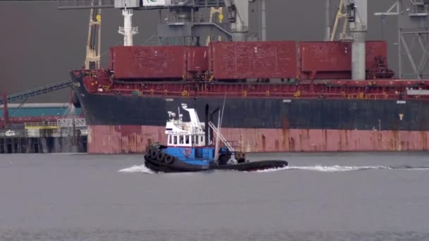 Tracking Shot Van Sleepboot Cruisen Rivier Westwaarts Met Gigantisch Containerschip — Stockvideo