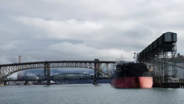 Weite Aufnahme Des Fjords Mit Anlegen Des Chinesischen Containerschiffs Der — Stockvideo