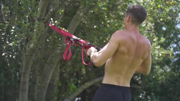 Joven Caucásico Ajuste Atractivo Masculino Exersicing Aire Libre Trx Fila — Vídeos de Stock