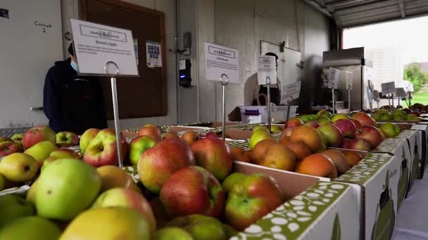 976 Fps Footage Shows Farm Table Apples Sale — Stock Video