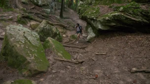 Una Joven Excursionista Mochilera Trepando Través Encantador Barranco Bosque Fantástico — Vídeos de Stock