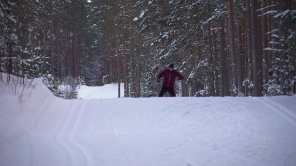 Вид Спереду Молодого Лижника Виконує Крос Кантрі Лижах Сніговій Критій — стокове відео