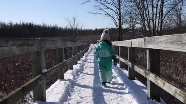 小女孩走在冬天的自然小径上 懒洋洋地跟在后面 — 图库视频影像