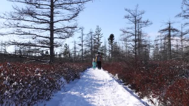 Hübsche Mutter Und Tochter Laufen Sonnigen Winter Naturpfad Hinunter — Stockvideo