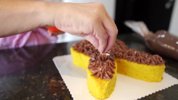 Femme Décoration Gâteau Carotte Forme Lapin Pour Pâques — Video