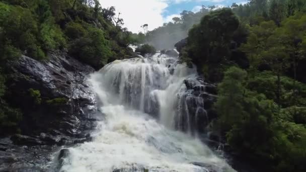 Basso Cavalcavia Della Spettacolare Cascata Colnett Vicino Hienghene Nuova Caledonia — Video Stock