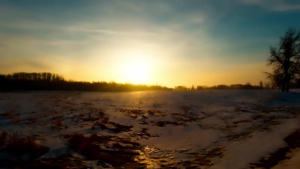 エルク島の自然豊かな公園冬は時間が流れ込む氷の生息地での太陽の日の出の反射ムースと水牛が雲の動きで早朝の澄んだ青い空を自由に歩き回る — ストック動画