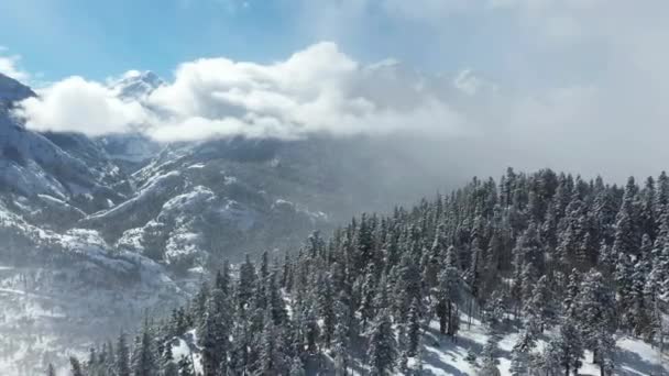 Fehér téli táj, drón légi kilátás hófödte hegycsúcsok, erdő és felhők felett vallye könnyű hóesés