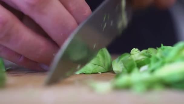 Finamente Cortando Brussel Broto Vegetal — Vídeo de Stock