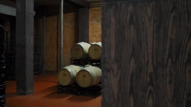 通常情况下的障碍 葡萄酒和白葡萄酒的酿造桶 — 图库视频影像