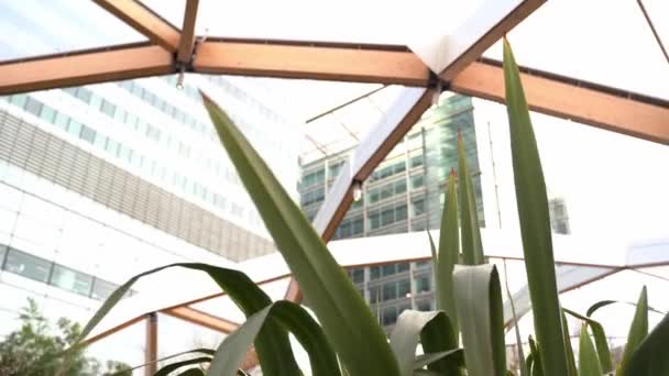 Pflanzen Crossrail Place Roof Garden Wehen Sonnigen Tagen Wind Handheld — Stockvideo