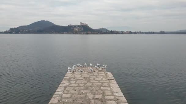 マッジョーレ湖とアンジェラ城を見下ろす桟橋からカモメの群れが飛び立ちます イタリア — ストック動画