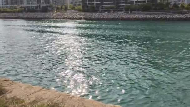 Still Shot Sunlight Reflex Canal Sunny Day — Stock Video