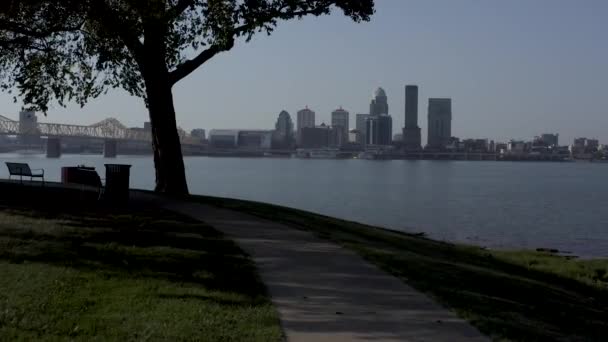 Drohnenvideo Von Louisville Unter Baum — Stockvideo