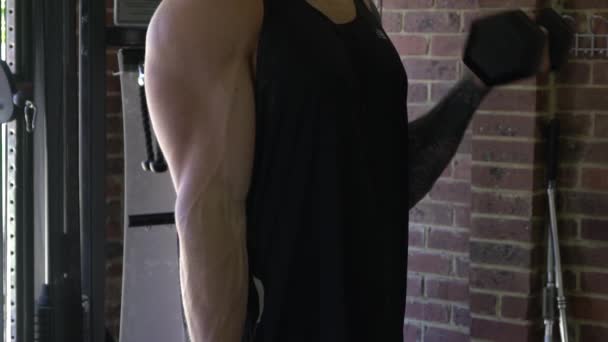 Muscly Άνθρωπος Στο Σπίτι Γυμναστήριο Άσκηση Αυστηρή Bicep Μπούκλα — Αρχείο Βίντεο