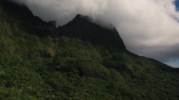 Drohnenaufnahmen Vom Strand Der Insel Moorea Tahiti — Stockvideo