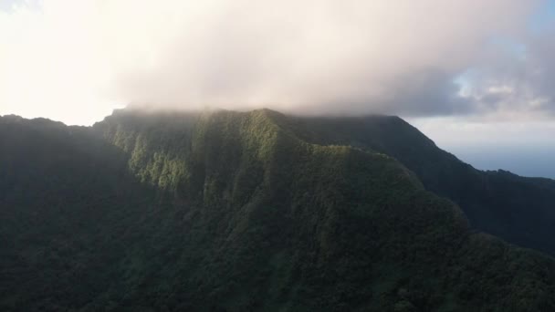 Tahiti Moorea Isola Spiaggia Drone Filmato — Video Stock