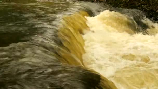 Ein Kleiner Wasserfall Irgendwo Costa Rica Mittelamerika Weitwinkel — Stockvideo