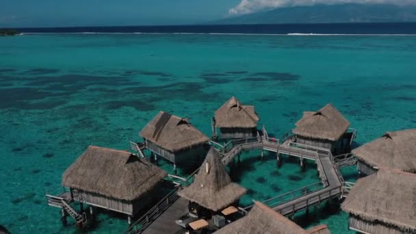 Drohnenaufnahmen Vom Strand Der Insel Moorea Tahiti — Stockvideo