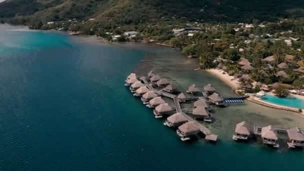 Drohnenaufnahmen Vom Strand Der Insel Moorea Tahiti — Stockvideo