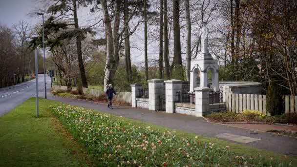 Lady Walker Passeert Gedenkteken Aan James Mitchell Carrier Kemnay Aberdeenshire — Stockvideo