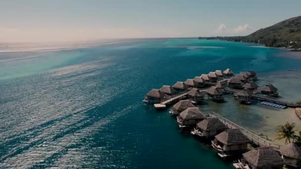 Tahití Isla Moorea Imágenes Drones Playa — Vídeo de stock