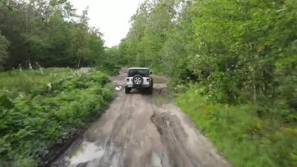 A white jeep driving through a puddle of water on a cloudy day in a forest