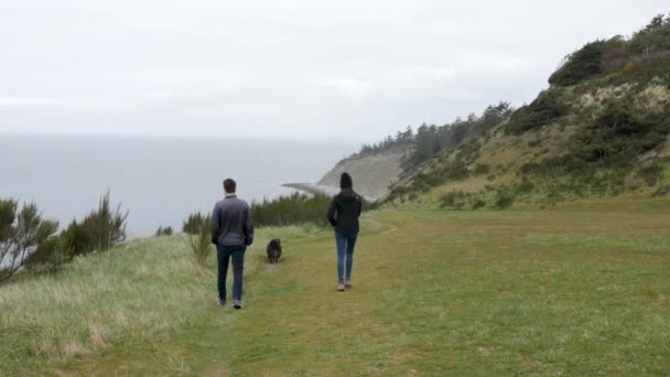 Pareja Caminando Hacia Playa Con Perro — Vídeos de Stock