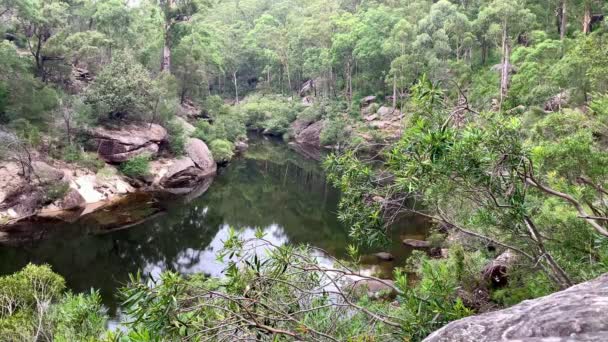 Rio Dobra Torno Uma Esquina Cercada Por Árvores Verdes Austrália — Vídeo de Stock