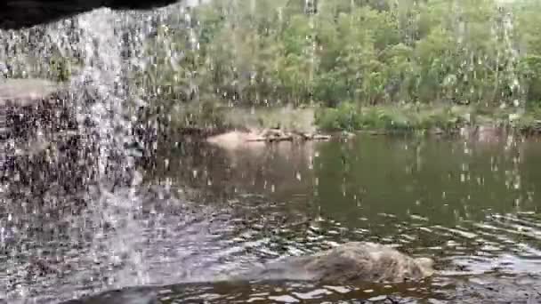Blick Hinter Einen Wasserfall Auf Ein Schwimmloch Australien — Stockvideo