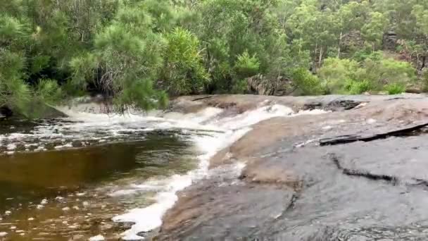 Ποταμός Συναντά Μικρό Βραχώδη Καταρράκτη Στην Αυστραλία — Αρχείο Βίντεο