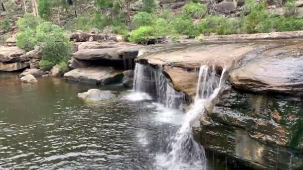 Arroyo Que Conduce Una Cascada Que Fluye Agujero Natación Australia — Vídeos de Stock