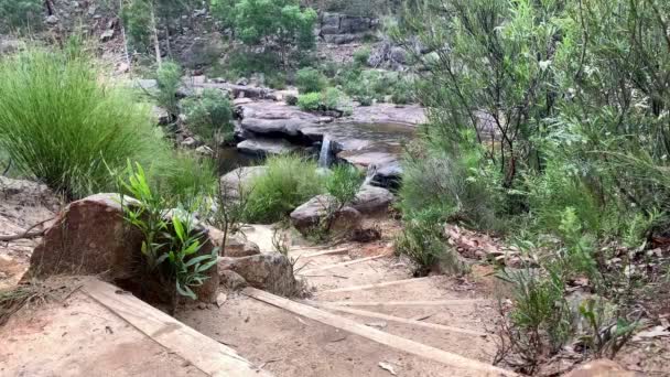 Hiking Trail Path Curving Set Stairs Waterfall Distance Australia — Stock Video