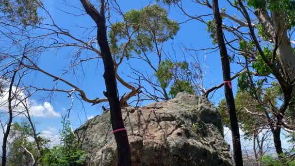 Mirando Hacia Arriba Una Gran Roca Cielo Azul Australia — Vídeos de Stock