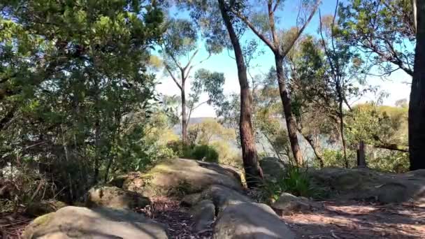 Bäume Und Felsen Auf Einem Wanderweg Australien — Stockvideo