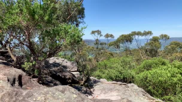 Busch Und Felsen Mit Bäumen Der Ferne Australien — Stockvideo