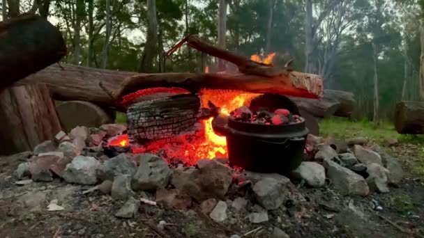 Vaření Večeře Hrnci Ohni Australském Táboře — Stock video