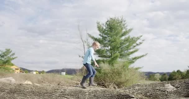 Niño Con Camisa Azul Caminando Sobre Pila Árboles Caídos — Vídeos de Stock