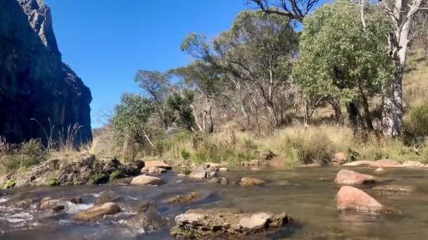 Creek Fluye Través Gran Desfiladero Con Cielo Azul Australia — Vídeo de stock